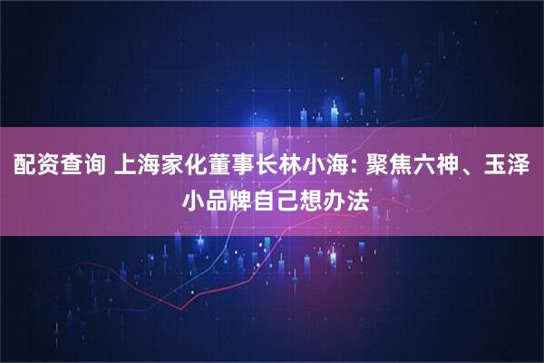配资查询 上海家化董事长林小海: 聚焦六神、玉泽 小品牌自己想办法