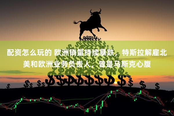 配资怎么玩的 欧洲销量持续暴跌，特斯拉解雇北美和欧洲业务负责人，曾是马斯克心腹