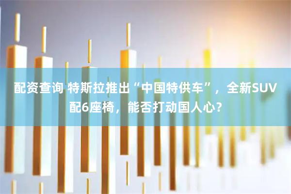 配资查询 特斯拉推出“中国特供车”，全新SUV配6座椅，能否打动国人心？