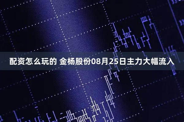 配资怎么玩的 金杨股份08月25日主力大幅流入