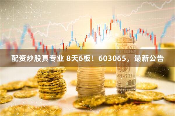 配资炒股真专业 8天6板！603065，最新公告